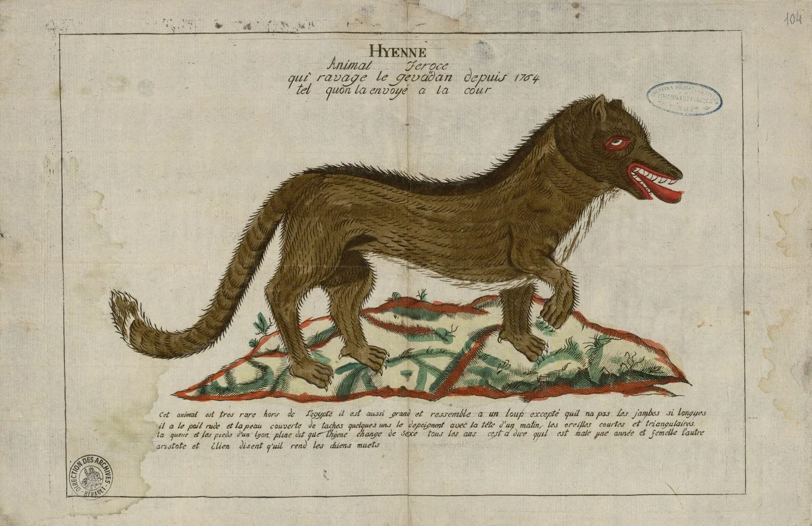 A hand-coloured picture of a long brown animal like a wolf, with a striped tail, red eyes and bared teeth, standing on a grassy mound under the heading Hyenne, with a paragraph of French text below