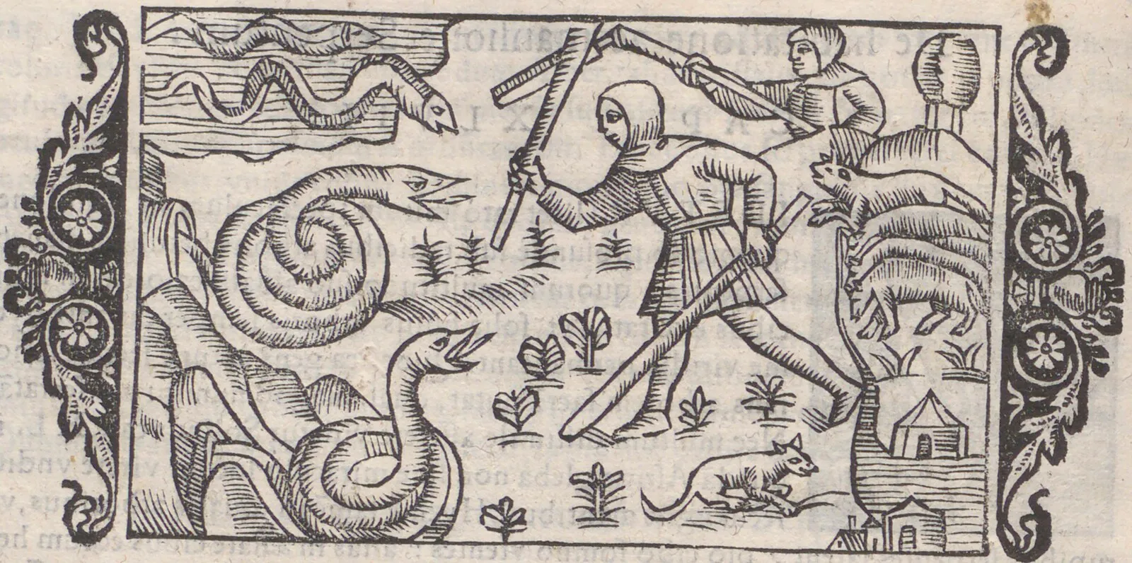 Woodcut in a ruled frame: a hooded man in a belted tunic swings a club at two large snakes, one coiled in a spiral and one rearing, with a second man behind him, a pig, a rat and a cottage