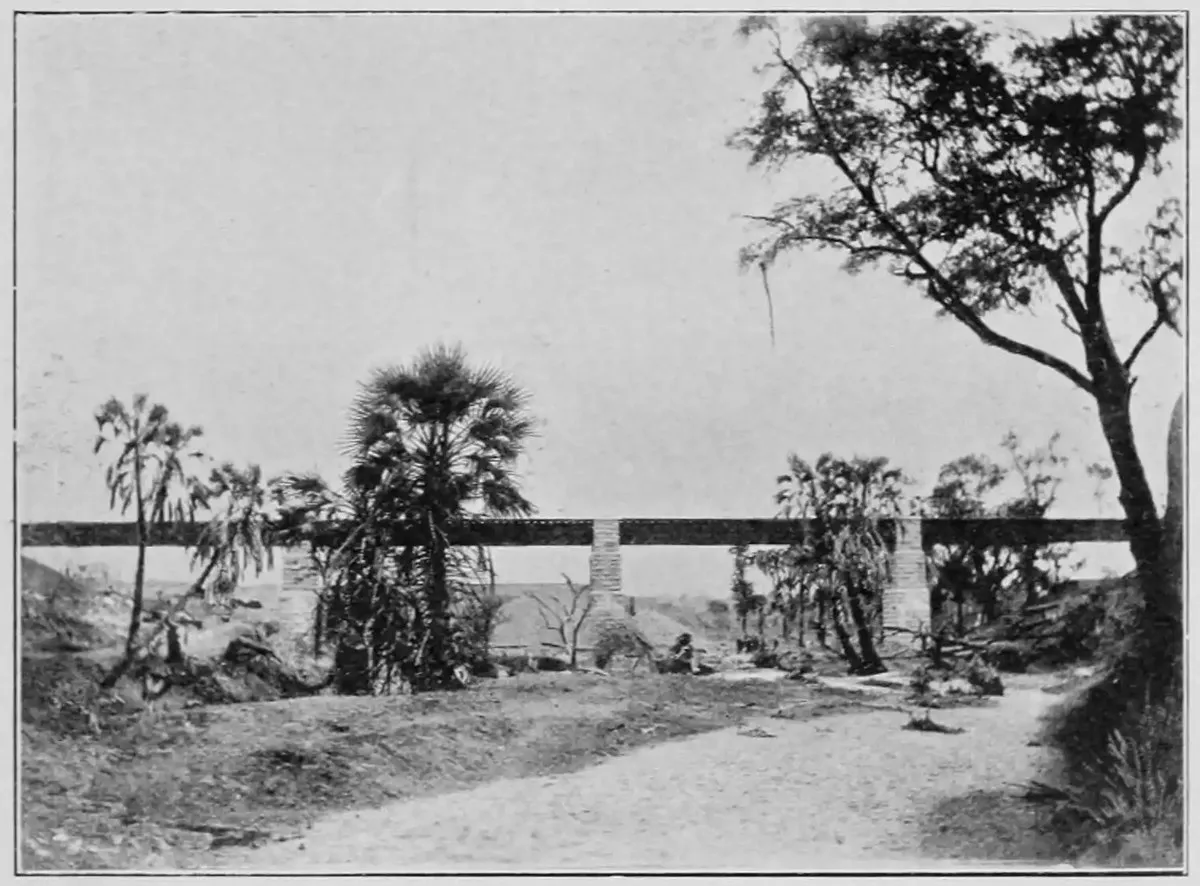 A black-and-white photograph of a long, flat railway bridge on piers, seen past palms and a leaning thorn tree beside a sandy track